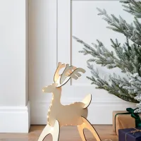 V večji prostor lahko povabimo tudi krasnega jelenčka. Lights4fun