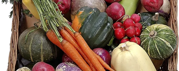 Sadje in zelenjava naj bosta različnih barv, kajti s tem bo prehrana bogatejša z antioksidanti in različnimi vitamini ter minerali.