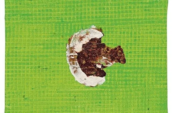 Ira Niero Marušič: Grilled Mushroom (Goba na žaru), 2016, olje, vosek