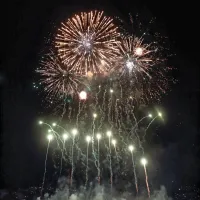 Ognjemetov ob vstopu v novo leto 2021 letos ne bo.