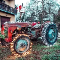 Na domačiji Furlan v Kobjeglavi so okrasili kar traktor in njegova 
kolesa. 