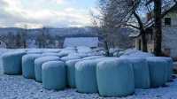 Odgovor na vprašanje, kam s plastiko od senenih bal, za katero 
proizvajalci ne plačujejo embalažnine, svetniki občin Idrija in 
Cerkno že nekaj mesecev čakajo zaman.