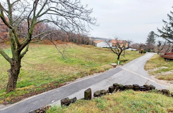 Plazišča v Šmihelu sicer ni več videti, a pod površino ostajajo 
številne težave. 