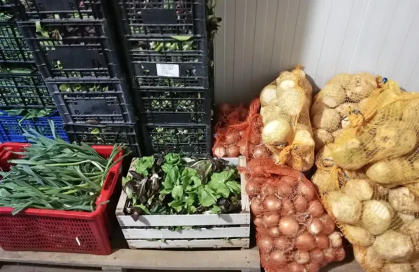 V vodniku so v večini predstavljeni  oljkarji, sledijo vinarji, pa 
sadjarji, zelenjadarji, čebelarji, zeliščarji, pridelovalci žit ...