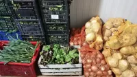 V vodniku so v večini predstavljeni  oljkarji, sledijo vinarji, pa 
sadjarji, zelenjadarji, čebelarji, zeliščarji, pridelovalci žit ...