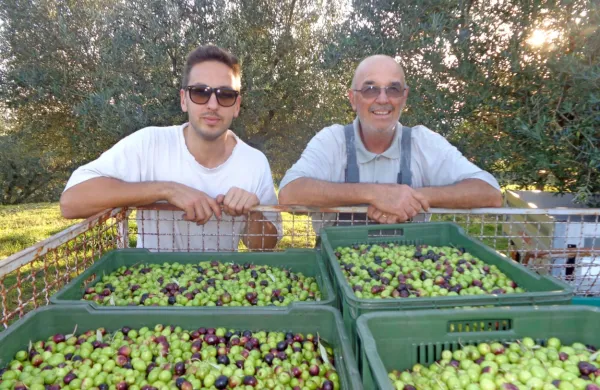 Martin (levo) in Miran Adamič, dve generaciji izvrstnih oljkarjev s kmetije 
Ronkaldo z Baredov, ki je za svoja olja prejela številna priznanja.