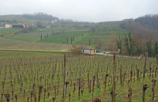 Po slabem letu dni je v izrednih razmerah zaradi covid-19 znova 
aktualno vprašanje prestopanja meje za dvolastnike.   