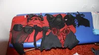Policistom je ženska pred leti prijavila, da jo je partner  silil v 
prostitucijo. 