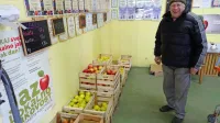  Letina jabolk v Brkinih je bila obilna in kakovostna, a sadjarji pridelka ne uspejo prodati. 