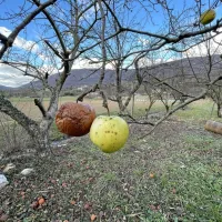 Trije različni pogledi objektivov:  14 mm ... 