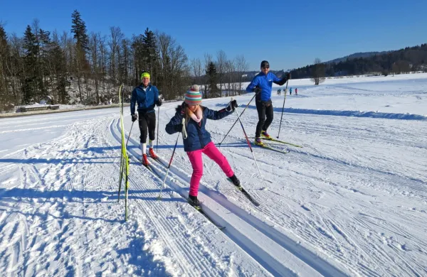 Nekdaj priljubljena, potem opuščena tekaška proga v Črnem Vrhu 
nad Idrijo, je v teh dneh odlično urejena in polna smučarsko 
tekaških navdušencev.