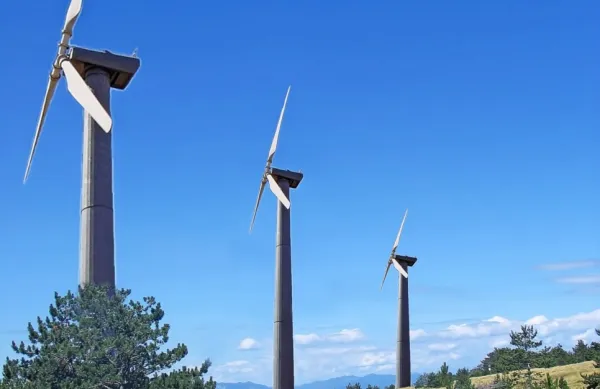 Če člani  Društva za opazovanje in proučevanje ptic Slovenije ne bi 
uporabili pravnih sredstev, bi  bila podoba Volovje rebri pri Ilirski 
Bistrici zdaj verjetno takšna. 