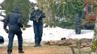 Bombni tehniki in pirotehniki so minuli četrtek iz  Voglarjev na 
varno odpeljali 439 kosov NUS iz zbirke pokojnega domačina.