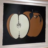 Od kraškega kamna do računalnika