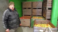 Anton Biščak je zadovoljen, da se je njegova hladilnica začela 
prazniti. Odkupili so že dvakrat po tono in pol jabolk. 