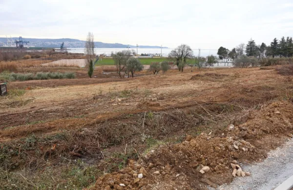 Občina je naročila čiščenje grmičevja, robid in kanel  nad Sv. 
Katarino, zemljišče pa namerava urediti kot park.  