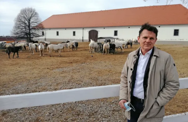 Zlatko Polajžer se nadeja, da bo država letos pohitela s postopki in 
bodo  tako lahko že na pomlad šli v prodajo in oddajo lipicancev.