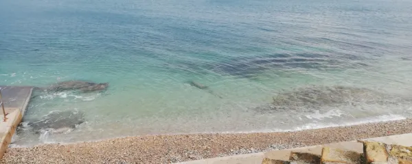 Predlogi so sicer preprosti, a pri rabi včasih zapleteni