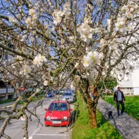 Primorsko jutri čaka najtoplejši dan doslej