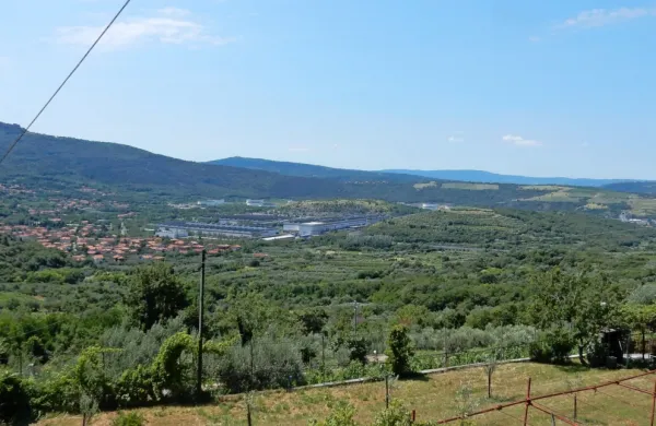 Srenja Dolina je  po 90 letih spet lastnica  zemljišč, ki se raztezajo od  
Boljunca (na levi) do Socerba in čez dolinska brda do žaveljskega 
zaliva.