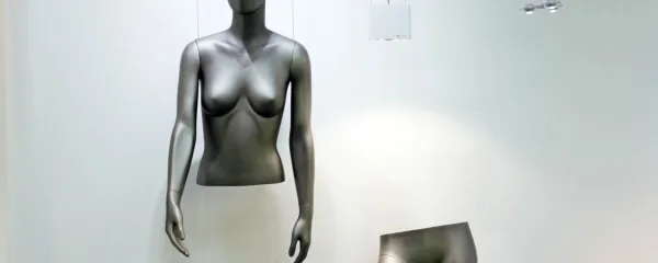 Ne gre za tajnice in fikuse, gre za odpravo etatizma