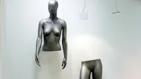 Ne gre za tajnice in fikuse, gre za odpravo etatizma