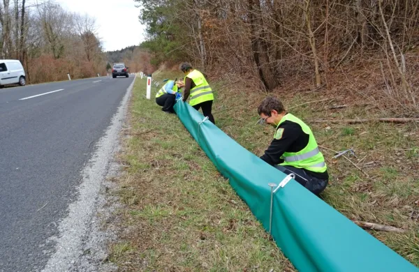  Zadnjih nekaj let pri vasi Buje v Vremski dolini postavijo varovalno ograjo, do katere pridejo dvoživke, nato pa jih  prenesejo  čez cesto.  