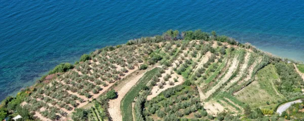 Ljubezen do okolja. Do prihodnosti.