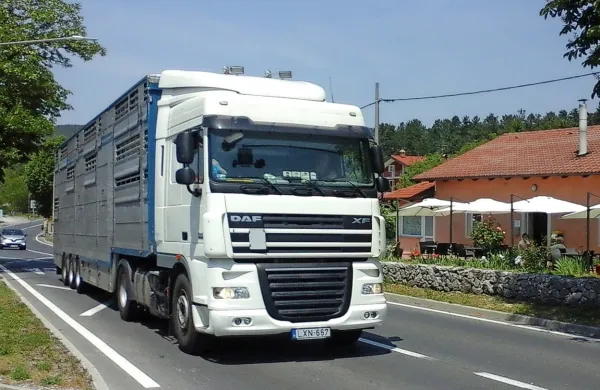 Tovorni tranzit med Kozino in Starodom se je, navkljub epidemiji, 
spet nekoliko povečal.   
