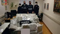 V tovornjaku so policisti našli več kot 50 kilogramov maihuane.
