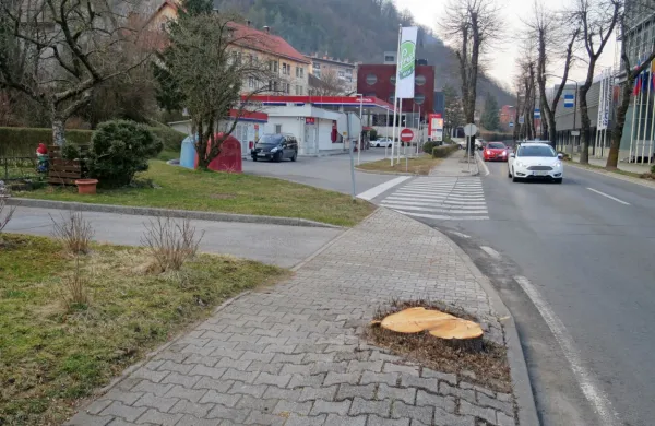 Odstranitev treh lip je sicer zagotovila bolj varen izvoz z bencinskega servisa, okrnila pa je sto let star  
drevored.