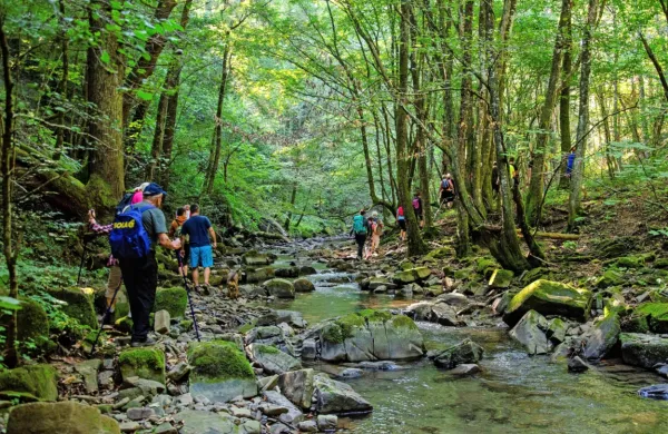  Zajezitev Suhorice, s čimer bodo zagotovili zadostne količine vode 
za Istro in rezerve za zaledje, je postala projekt državnega 
pomena. 