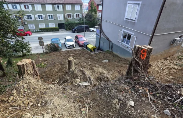 Na brežini so že posekali  drevesa, ki bi lahko ogrožala bližnje 
objekte. 