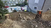 Na brežini so že posekali  drevesa, ki bi lahko ogrožala bližnje 
objekte. 