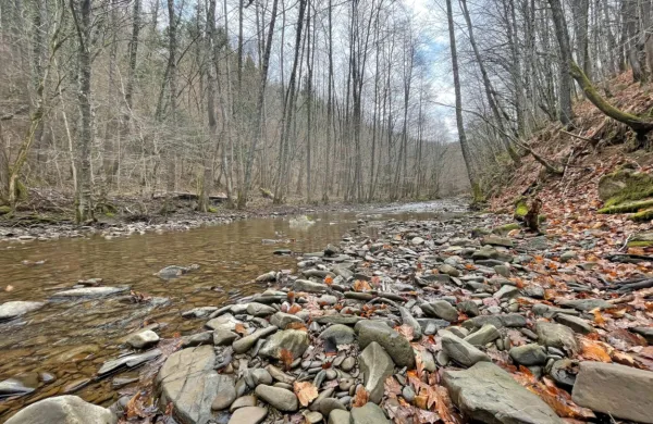 Podaljšali objavo pobude za DPN za Suhorico