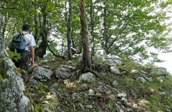 Gozdni rezervati, kot je Snežnik - Ždrolce, ki je del Unescove dediščine, predstavljajo le 0,8 odstotka slovenskih gozdov.