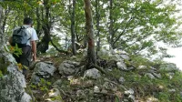 Gozdni rezervati, kot je Snežnik - Ždrolce, ki je del Unescove dediščine, predstavljajo le 0,8 odstotka slovenskih gozdov.