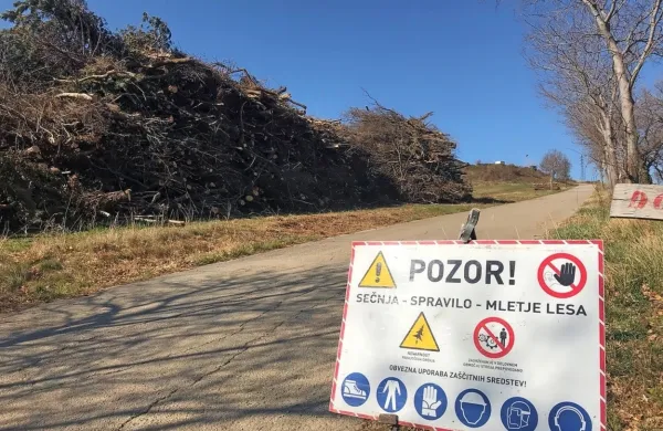 Sečnja na območju Dolge Krone