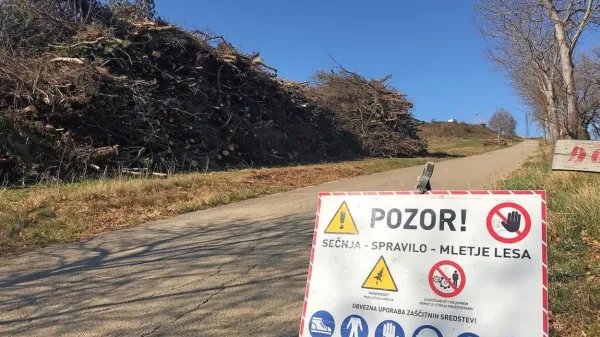 Sečnja na območju Dolge Krone