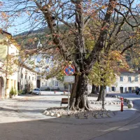 Domačini opozarjajo, da je treba v starem trškem jedru še pred  prihodom študentov doreči 
prometni režim.