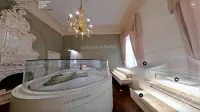  Violinistovo sobo na tržaškem konservatoriju je za zdaj mogoče obiskati samo virtualno. 