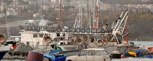 Ob visoki plimi so pred letom 2008, ko so dvignili zid v ribiškem 
mandraču,  Koprčani lahko uzrli tudi takšne prizore.