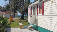 Kampi čakajo rumeno fazo