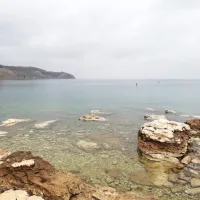 Čim bolj je življenje zapleteno, tem bolj jasen mora biti jezik!