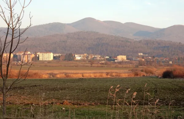 Če v Primorsko-notranjski pokrajini  ne bo notranjskih občin z 
druge strani Javornikov (Cerknice, Blok in Loške doline), je ime 
Notranjska vprašljivo, meni večina postojnskih svetnikov.