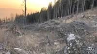 Domačini in ljubitelji narave  se v Trnovskem gozdu vse pogosteje 
srečujejo z območji, prizadetimi po sečnji, kar jih skrbi.