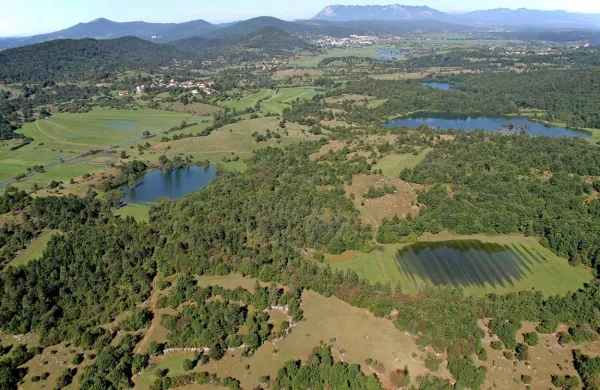 Z evropskim denarjem  bodo izboljšali stanje več živalskih in 
rastlinskih vrst  na območju Pivških presihajočih jezer. 