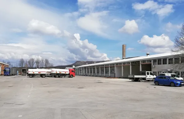 Tibovo cono zaokrožujejo: na desno so poslovni prostori in  prostori, ki jih urejajo, ter delavnice za najem,  na  levi pa  del nekdanjega 
Transportovega   terminala, ki je še vedno brez lastnika.

