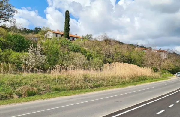 Parcele ob Dolinski, ki bodo predmet naslednje javne dražbe MOK, 
so namenjene gradnji večstanovanjske stavbe in poslovnih prostorov.
