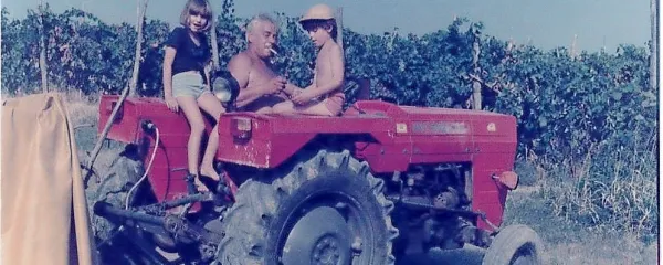 Kot mulci smo neizmerno uživali, ko smo lahko med trgatvijo sedli 
na ogromen rdeč traktor.